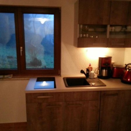 Ferienhaus Moosbachtal Thueringer Wald Bei Oberhof Rotterode Luaran gambar