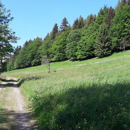 Ferienhaus Moosbachtal Thueringer Wald Bei Oberhof Rotterode Luaran gambar