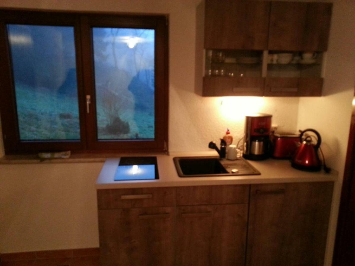 Ferienhaus Moosbachtal Thueringer Wald Bei Oberhof Rotterode Luaran gambar